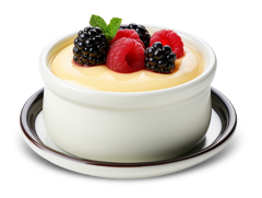 Vanilla Custard