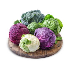 Cabbage