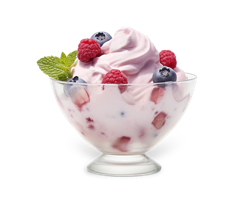 Frozen Yogurt