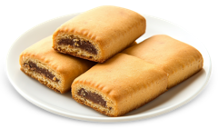 Fig Newton