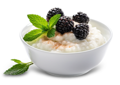 Tapioca Pudding