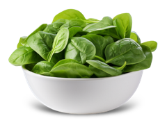 Fresh Spinach