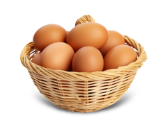 Egg