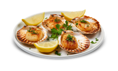 Baked Scallops