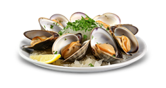 Clams on the Half Shell