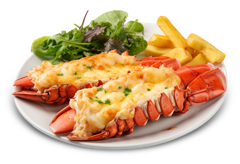 Lobster
