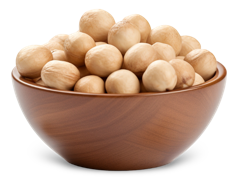 Macadamia Nut