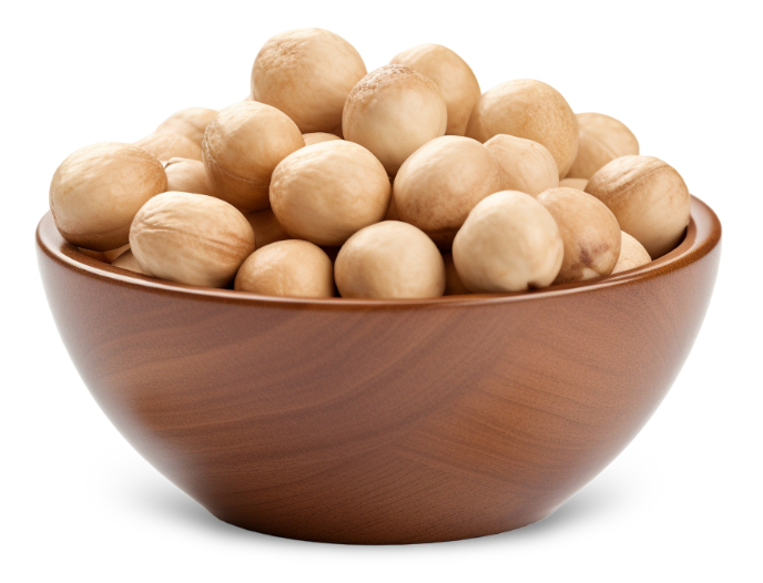 Macadamia Nut