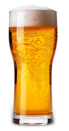 Beer Lover